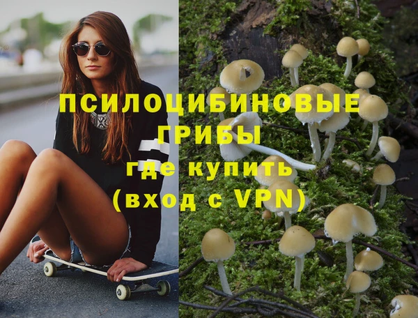 МДПВ Абаза