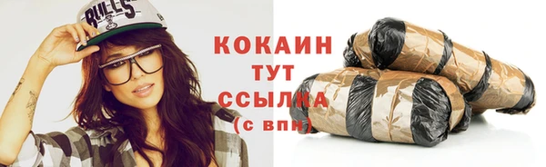 амф Протвино