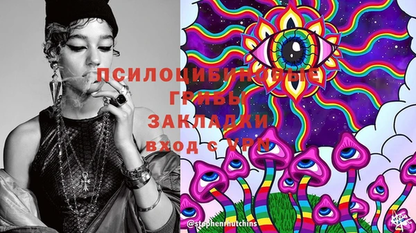 МДПВ Абаза